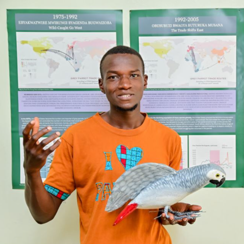 Parrot Tracking Tour