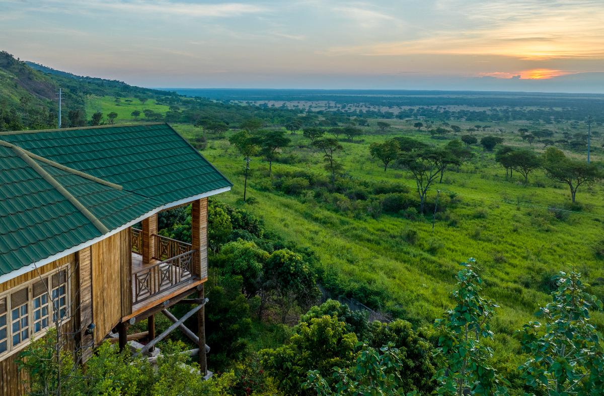 Single Deluxe Cottage