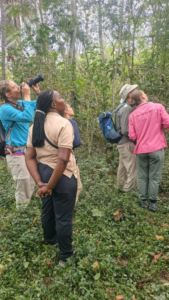 Nature/ Community walk