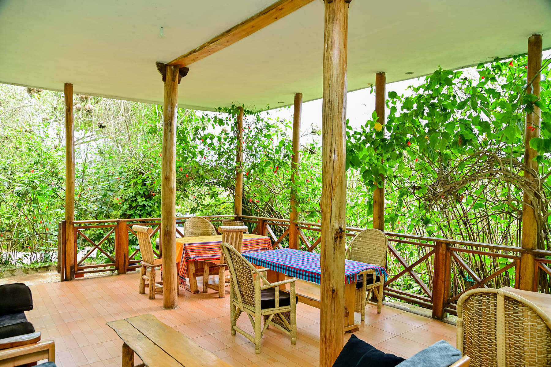 Forest Treehouse Stay
