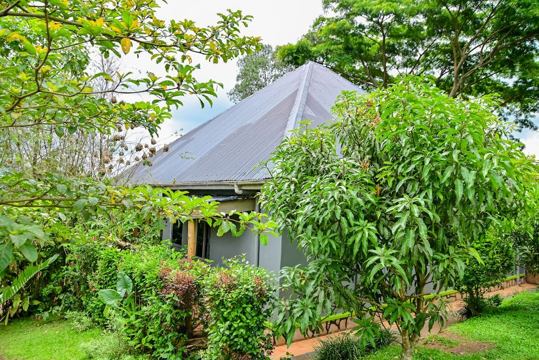 Kibale Eco  Home Banner